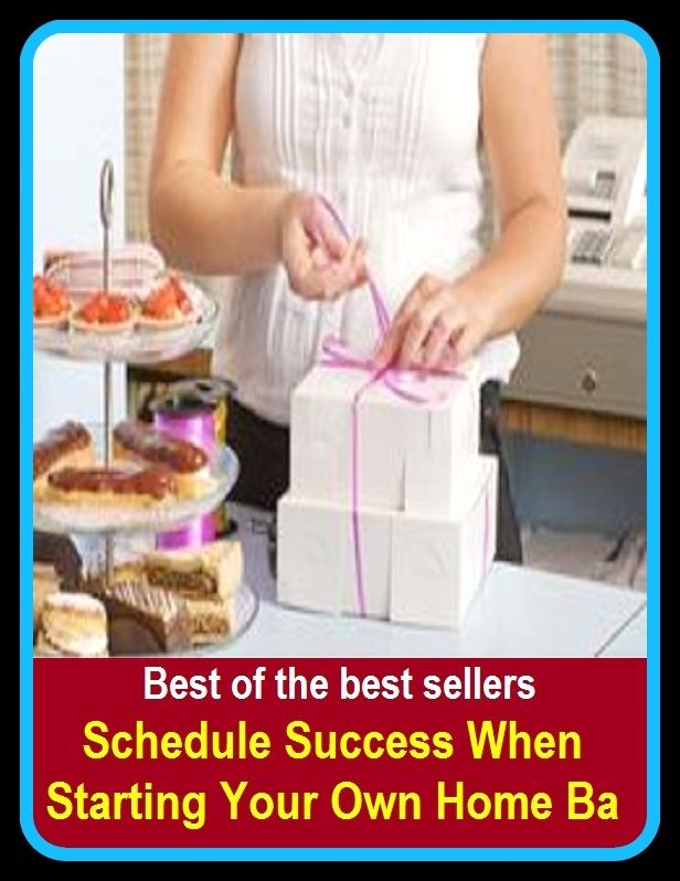 Best of the Best Sellers Schedule Success When Starting Your Own Home Ba (residence, place of residence, house, apartment, flat, bungalow, cottage, accommodations, property, quarters)