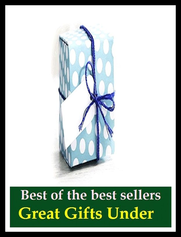 Best of the Best Sellers Great Gifts Under ( present, handout, donation, offering, bestowal, bonus, award, endowment, tip, gratuity)