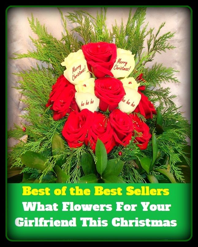 Best of the Best Sellers What Flowers For Your Girlfriend This Christmas ( Flower, Chinese lantern, zinnia, Eglantine, yarrow, advance, wolfbane, anther, wildflower, asiaticism, wax)