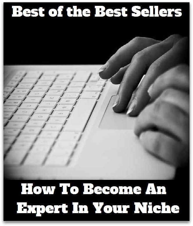 Best of the Best Sellers How To Become An Expert In Your Niche ( recess, alcove, nook, cranny, hollow, bay, cavity, cubbyhole, pigeonhole )