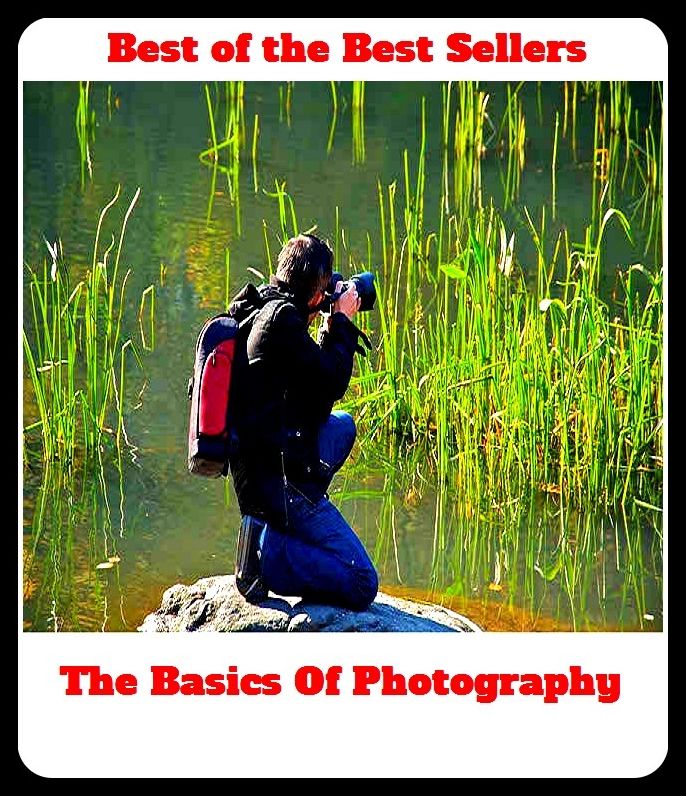 Best of the Best Sellers The Basics Of Photography (the bard, the bare necessities, the barleycorn, the barn burner, the bar tech group, the battle, the bay citizen, the be-all and end-all, the beach, the Beatles)