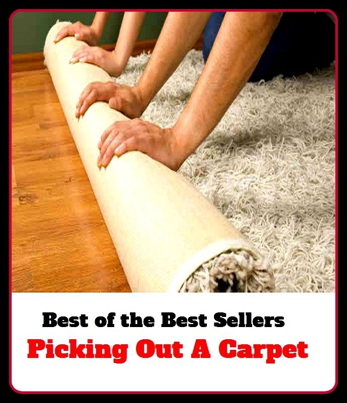 Best of The Best Sellers	Picking Out A Carpet (carpeting, rug, tapestry, matting, runner, throw rug, wall-to-wall, mat, floor covering. Shag)