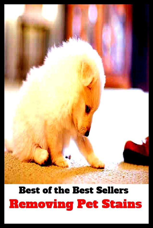 Best of The Best Sellers	Removing Pet Stains (abolish,clear away, cut out, delete, discard, discharge, dismiss, eliminate, erase, evacuate)