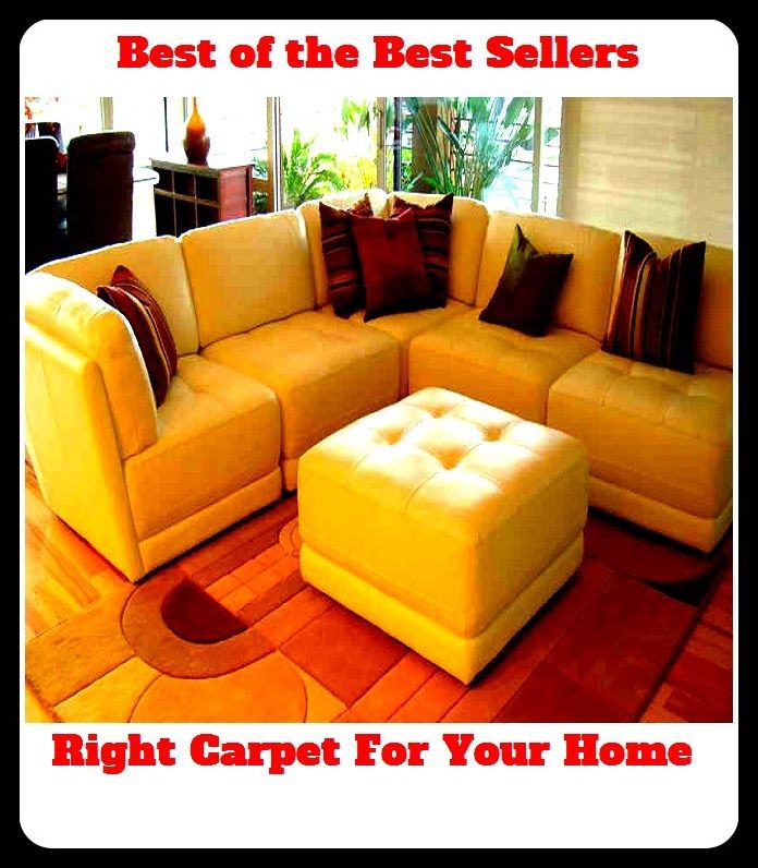 Best of The Best Sellers	Right Carpet For Your Home (carpeting, rug, tapestry, matting, runner, throw rug, wall-to-wall, mat, floor covering. Shag)