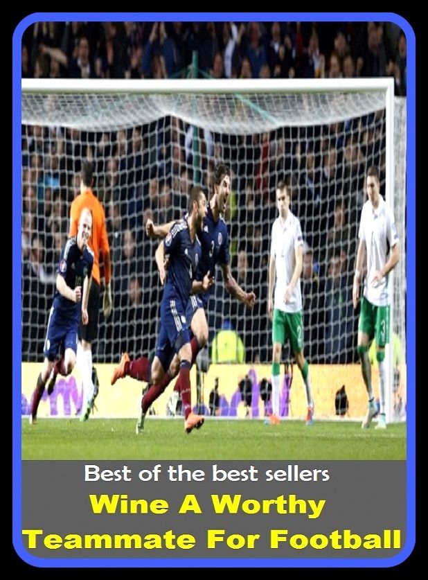 Football: Best of the Best Sellers Wine A Worthy Teammate For Football (windward side, windward, windy, windy city, wine, wine and dine, wine bar, wine barrel, wine bottle, wine bucket)