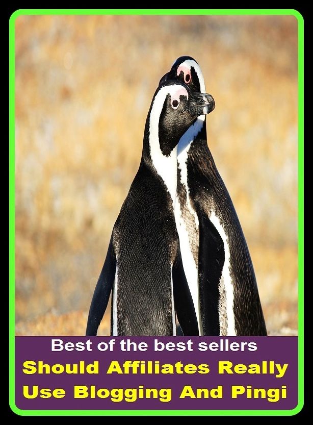 Best of the Best Sellers Should Affiliates Really Use Blogging And Pingi (shuttle, shorts, shorty, sough, should, should of, should/would like, should, shoulder, shoulder angel)