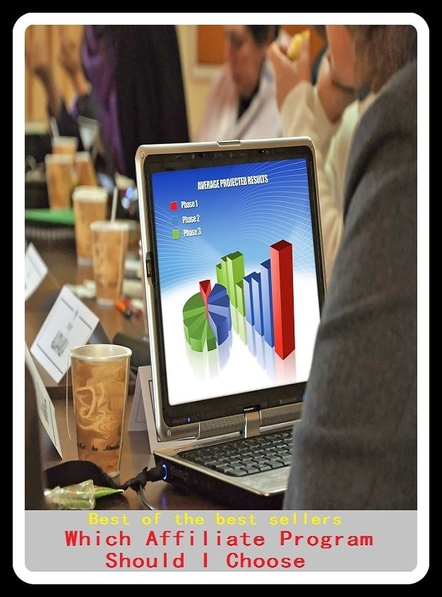 Best of the best sellers Which Affiliate Program Should I Choose (Branch, partner, associate, offshoot, sibling, affil, accept, adapt, affiliate, affirm, appropriate, approve.)