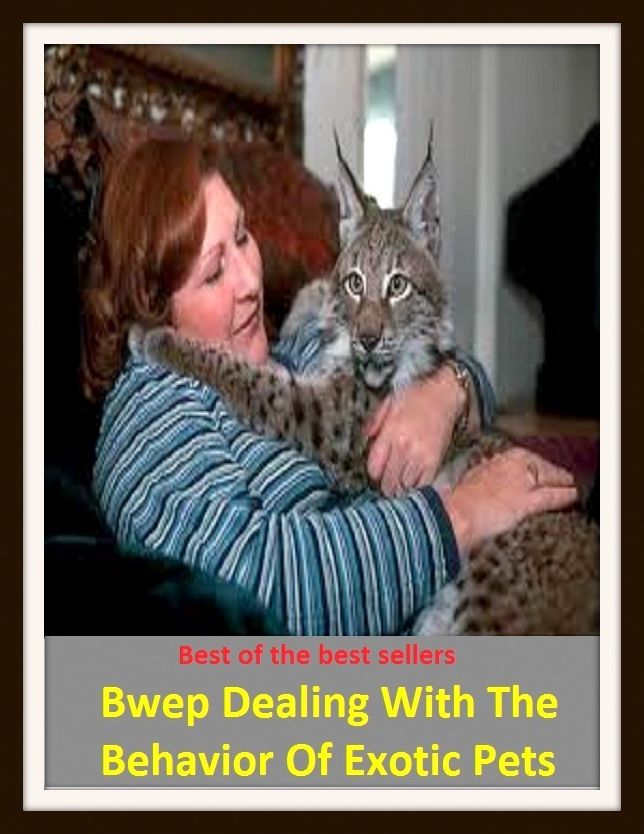 Best of the best sellers Bwep Dealing With The Behavior Of Exotic Pets ( cherished, darling, rdear, deare, arendearing, favored, loved, preferred, special, affectionate )