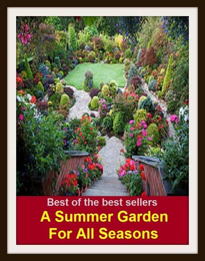 Best of the Best Sellers A Summer Garden For All Seasons(back yard, greenhouse, tarrace, hothouse, plot, bed, nursery, conservatory, oasis, cold frame, field, patio, enclosure, patch)