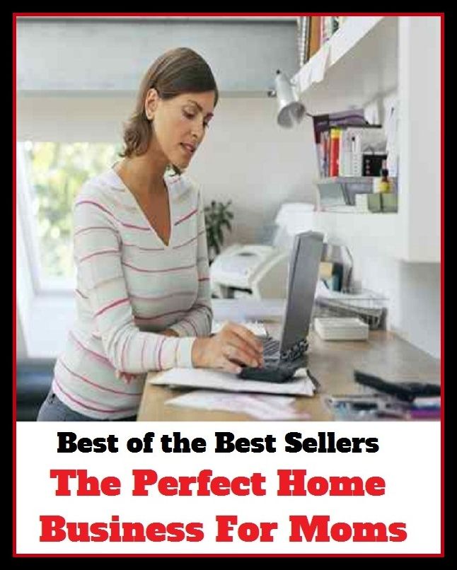 Best of the Best Sellers The Perfect Home Business For Moms (employment, biz, field, calling, trade, career, work, craft, bag, dodge)