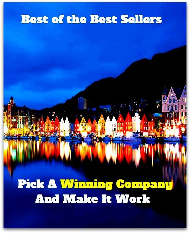 Best of the Best Sellers Pick A Winning Company And Make It Work (association, band, club, body, community, circle, group, clan, party, clique, team, collection, aggregation, concourse	, assemblage, congregation)