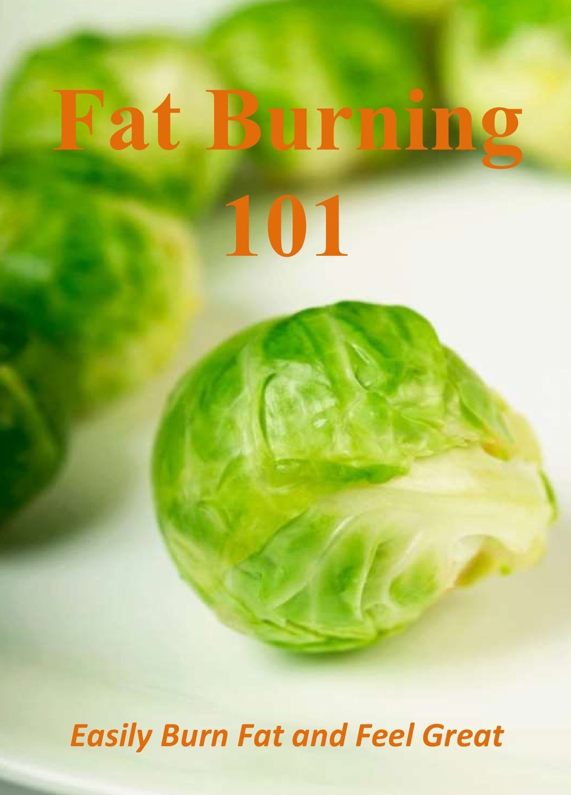 Fat Burning 101: Easily Burn Fat and Feel Great