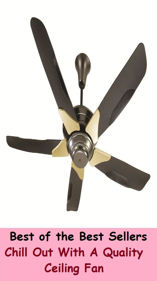 Best of the best seller Chill Out With A Quality Ceiling Fan(camcorders, computers, radios, stereos, televisions, transistors, VCRs, CD players, chips, components)