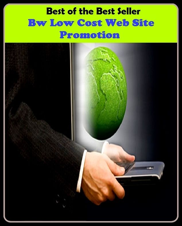 Best of the best seller Bw Low Cost Web Site Promotion(cyberspace,WWW,ARPANET,hyperspace,infobahn,information highway,information superhighway,National Information Infrastructure,online network)