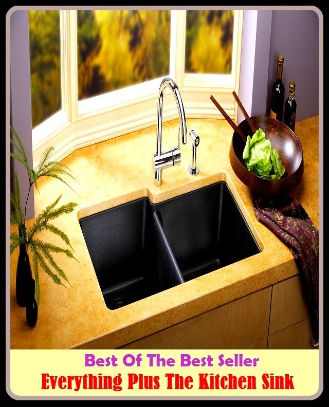 Best of the Best Sellers Everything Plus The Kitchen Sink ( Sink, Babylon, yield, KO, wreck, abate, wizen, advance, wither, alveolation, wilt, antrum, whirl, armpit, wheeze, automatic dishwasher)