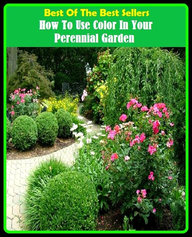 Best of the Best Sellers How To Use Color In Your Perennial Garden (color fade, color filter, color force, color guard, color in, color line, color motion picture film, color of law, color perception, color phase)
