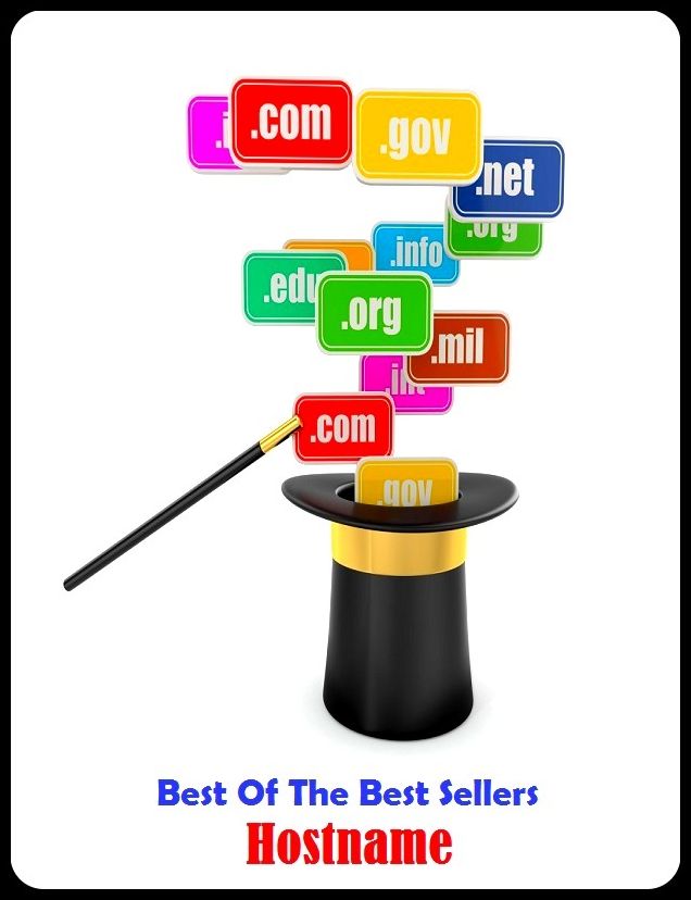 Best of the Best Sellers Hostname (domain name)