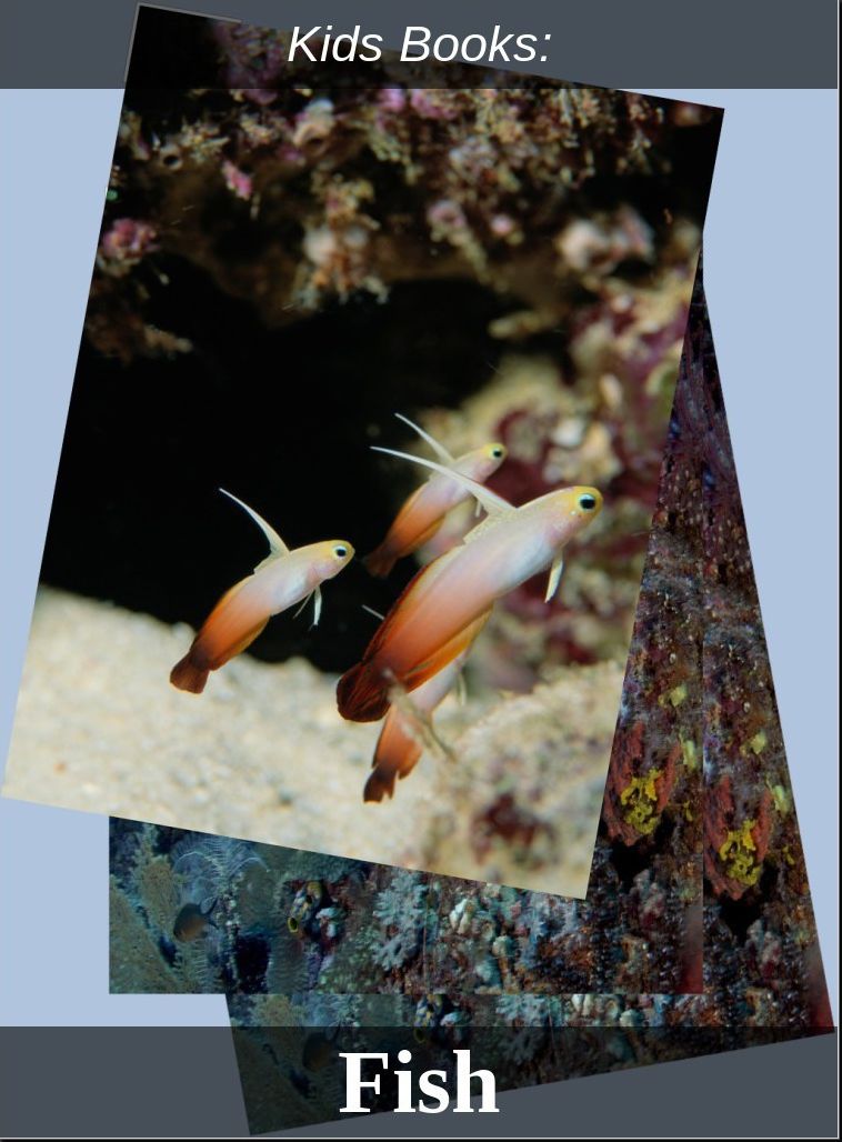 Kids Books: # 64 ( Wildlife, Nature, Sea Life, Wild Birds, Corals, Tigers, Lions, Bears, Elephants, Fish, Sharks, Marine Life, Endangered, Conservation, Ecology, Substainable Living, Tree, Flower )
