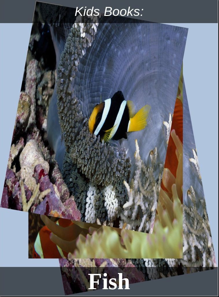 Kids Books: # 65 ( Wildlife, Nature, Sea Life, Wild Birds, Corals, Tigers, Lions, Bears, Elephants, Fish, Sharks, Marine Life, Endangered, Conservation, Ecology, Substainable Living, Tree, Flower )