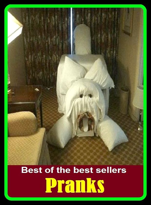 Best of the Best Sellers Pranks (jokes, escapades)