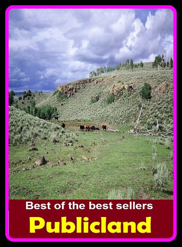 Best of the Best Sellers Publicland ( publication, publicize, publicized, publicize, publicizing, publicly, publicly held, publicizes, public, public stuff )