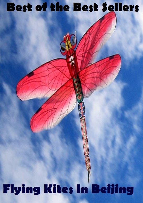 Best of the best sellers Flying Kites In Beijing ( approach, ideology, method, theory, hypothesis, conjecture, speculation, assumption, premise, presumption, guess )