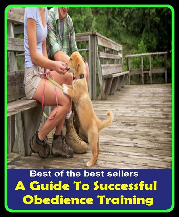 Best of the best sellers A Guide To Successful Obedience Training ( way, method, means, technique, mode, system, approach, manner, line of attack, routine )