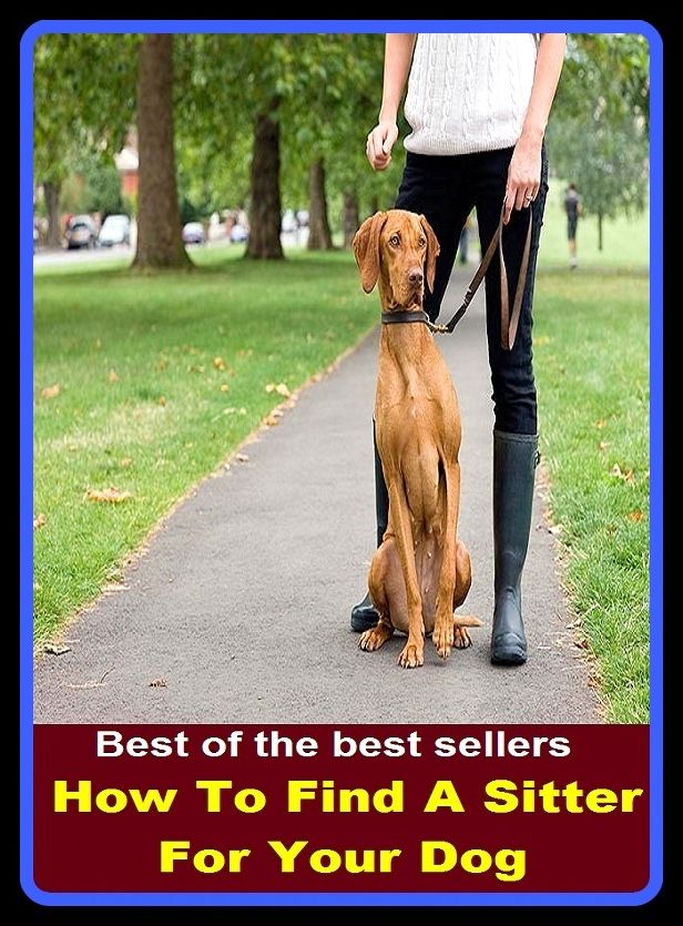 Best of the best sellers How To Find A Sitter For Your Dog ( families, household, familial, domestic, relatives, households, dynasty, home, familiar, household-type, family-run, family-related, family-owned, kin, family-based, marital, clan )