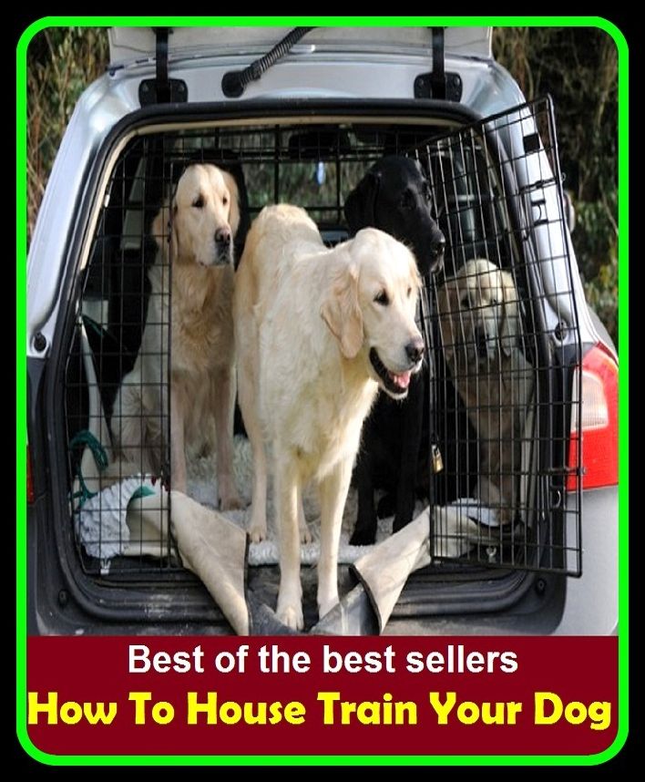 Best of the best sellers How To House Train Your Dog ( families, household, familial, domestic, relatives, households, dynasty, home, familiar, household-type, family-run, family-related, family-owned, kin, family-based, marital, clan, parents )