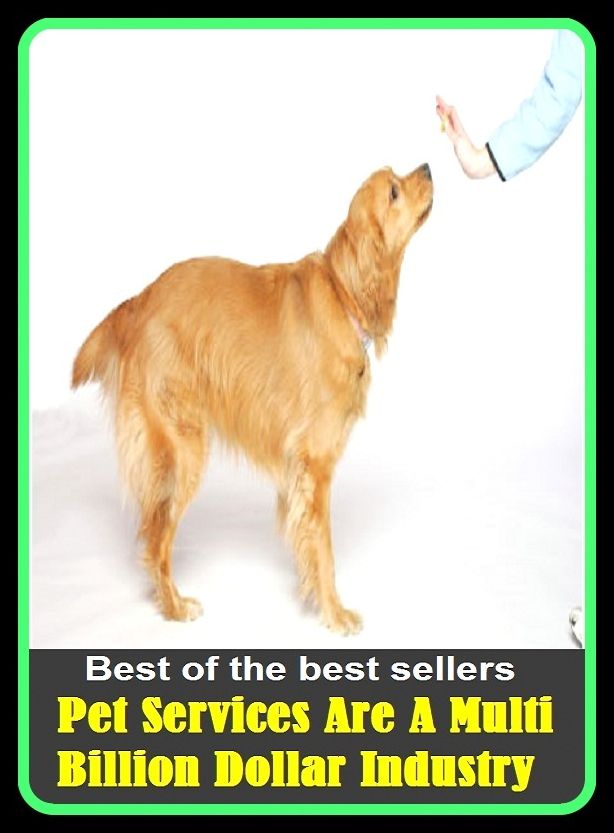 Best of the best sellers Pet Services Are A Multi Billion Dollar Industry ( Reptile, slither, pet, constrictor, venom, Cobra, Boa, Garden, moccasin, rattle snake, anaconda, viper, sea snake, water snake, corn snake, pets, pet )