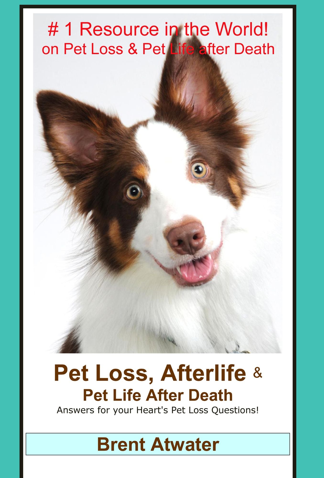 Pet Loss, Afterlife & Pet Life After Death