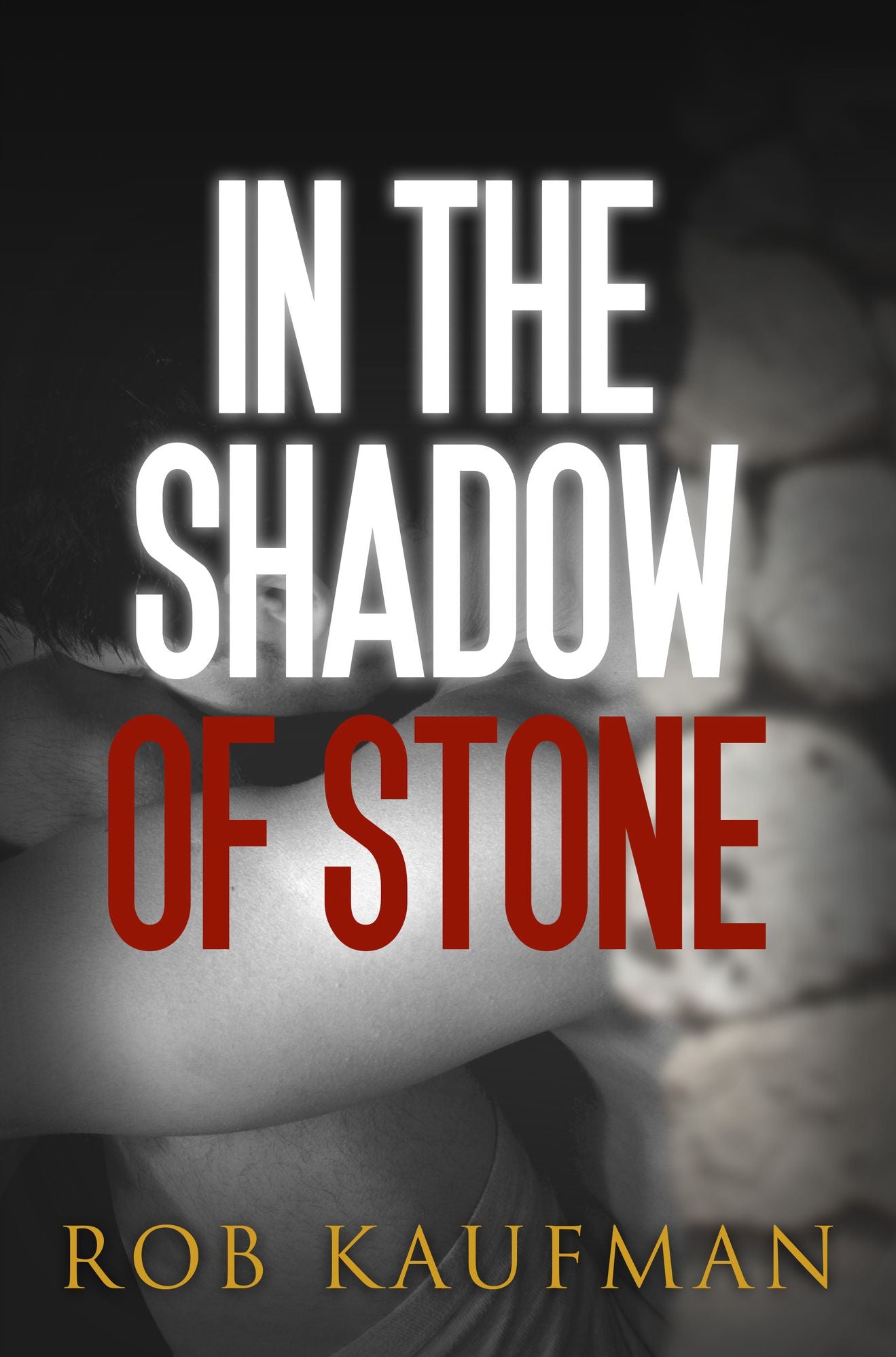 In the Shadow of Stone