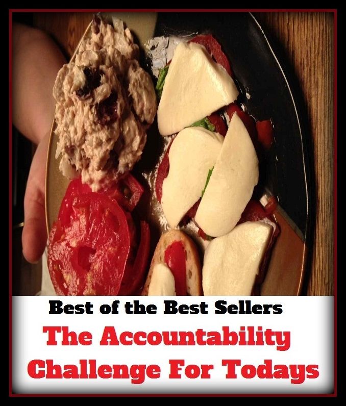 Best of the Best Sellers The Accountability Challenge For Todays (liability, answerability, blameworthiness, accountability, burden, culpability, duty, blame, compulsion, obligation, amenability, indebtedness, amenableness, onus)