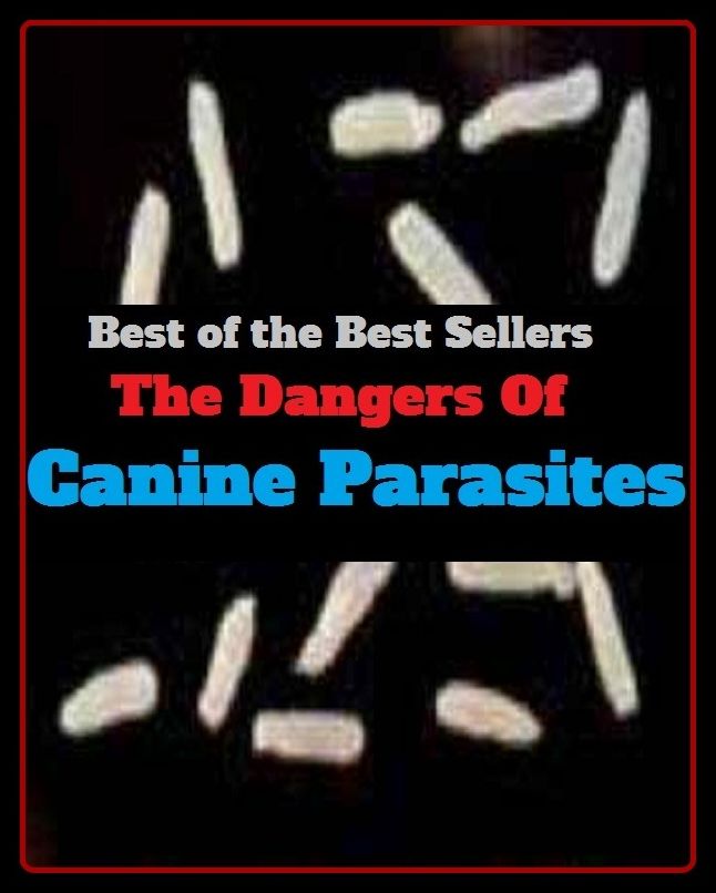 Best of the Best Sellers The Dangers Of Canine Parasites (barnacle, bloodsucker, bootlicker, deadbeat, dependent, flunky, freeloader, groupie, hanger-on, idler, leech, scrounger)