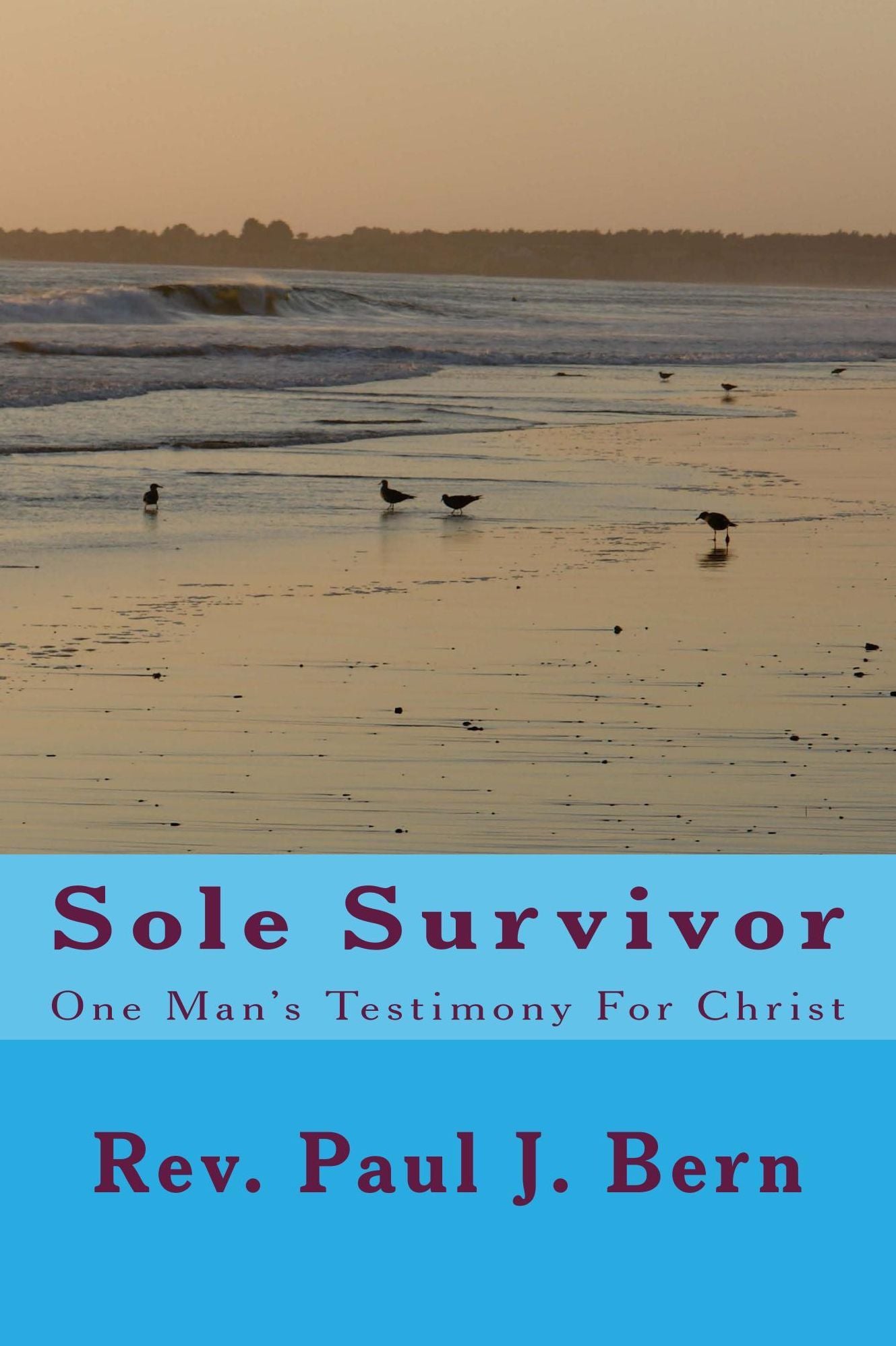 Sole Survivor: One Man's Testimony For Christ