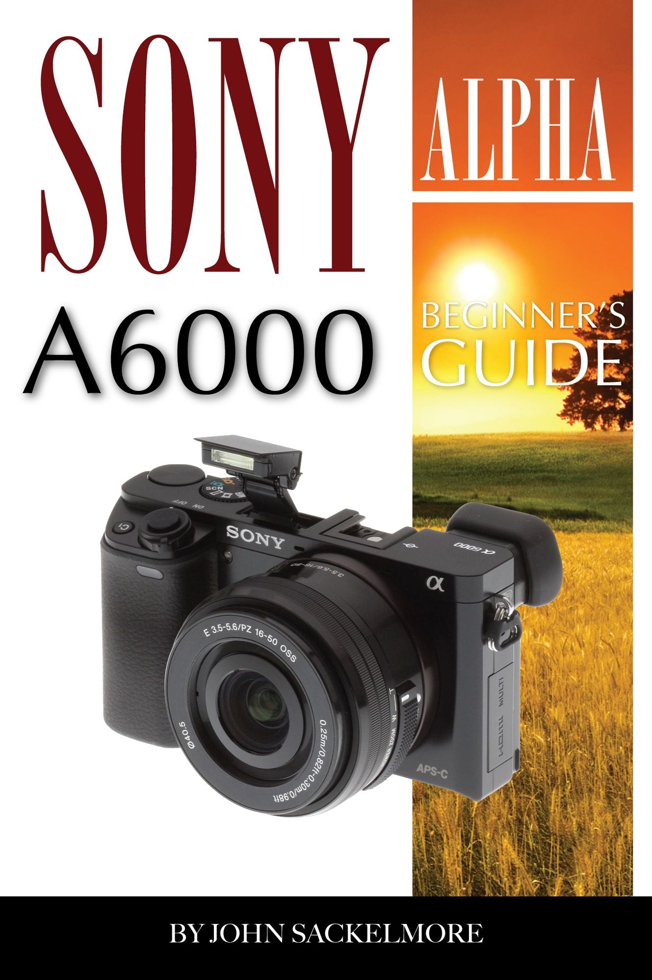 Sony Alpha A6000: Beginnerr