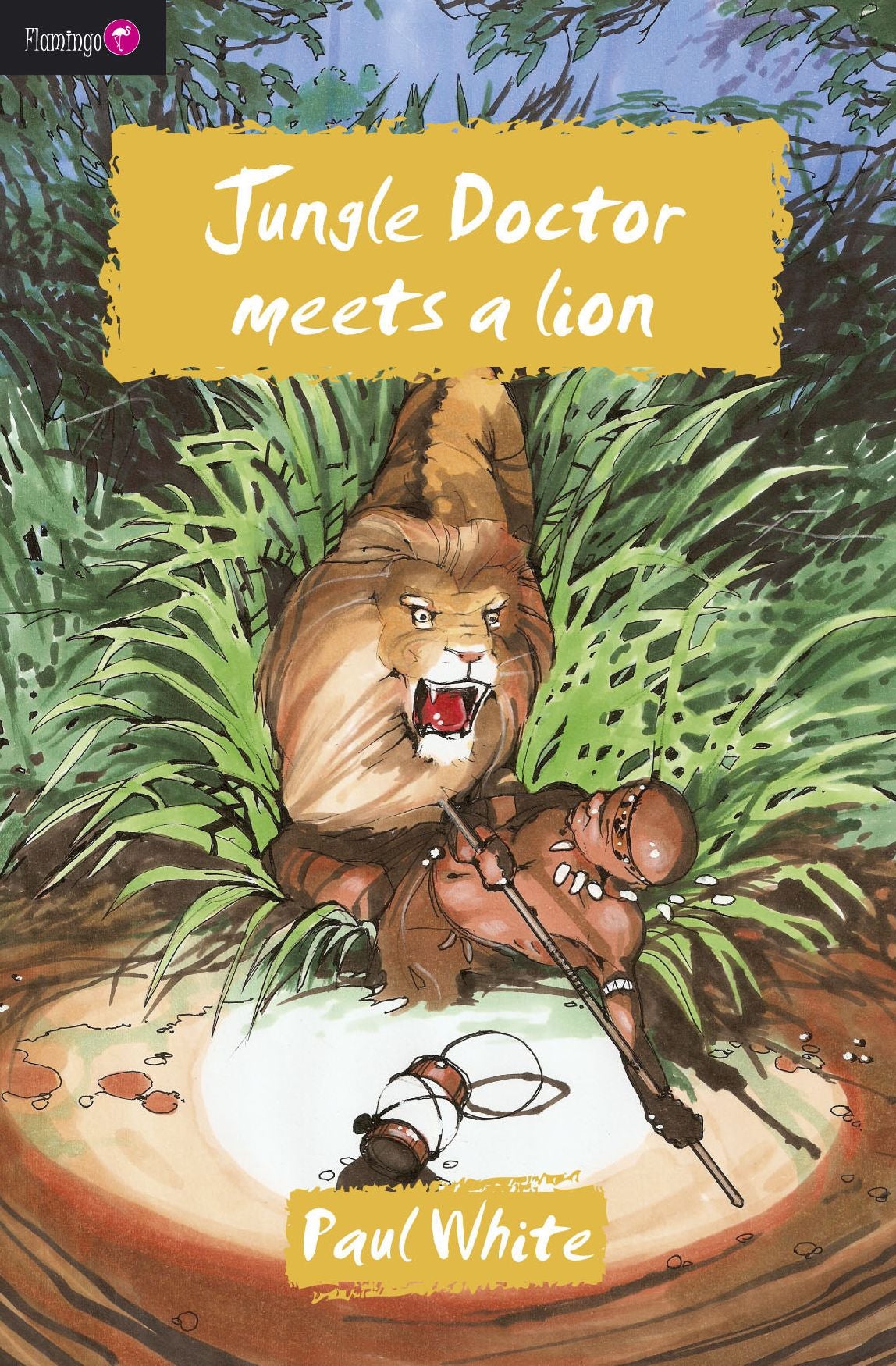 Jungle Doctor meets a Lion
