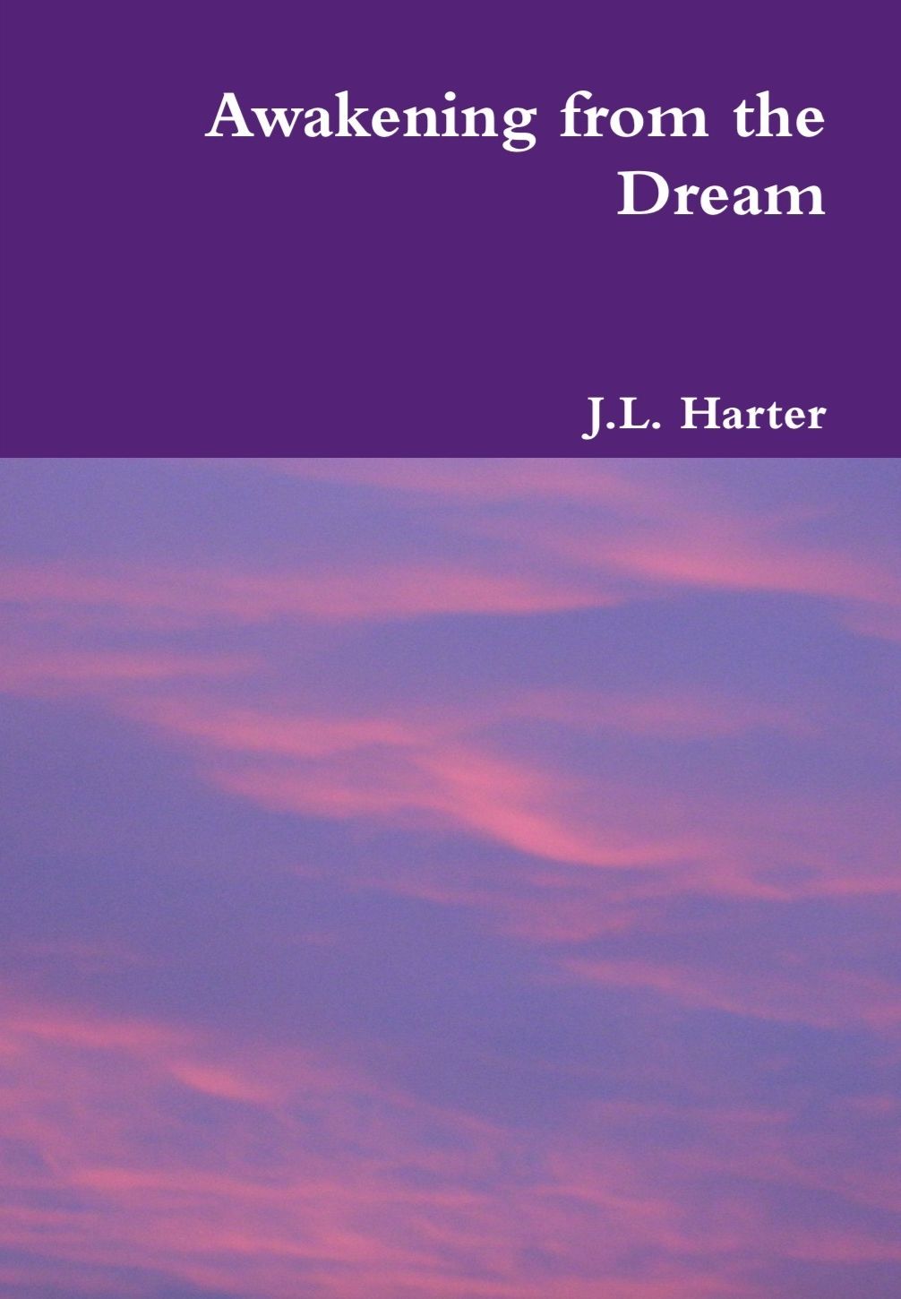 Awakening from the Dream