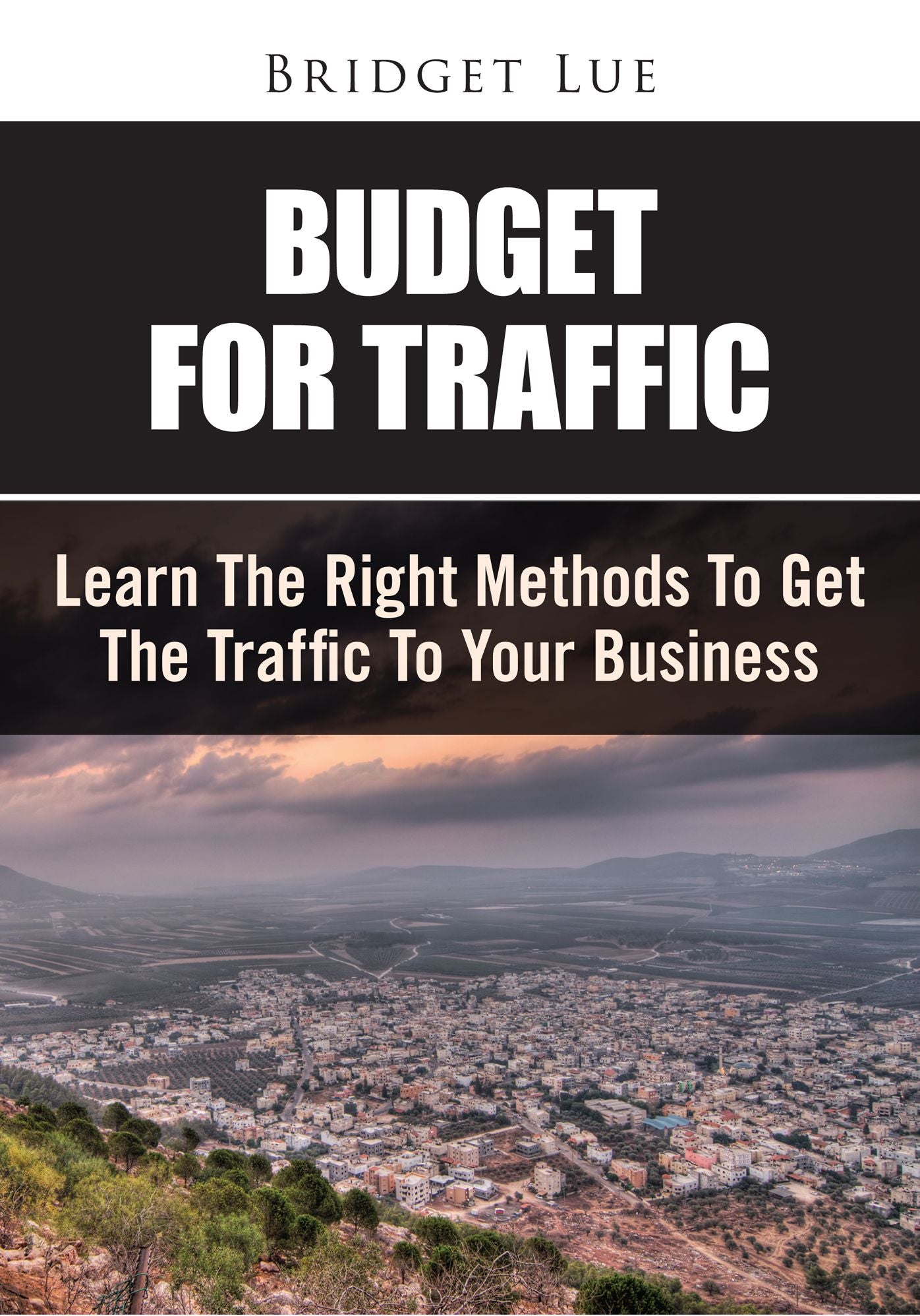 Budget for Traffic