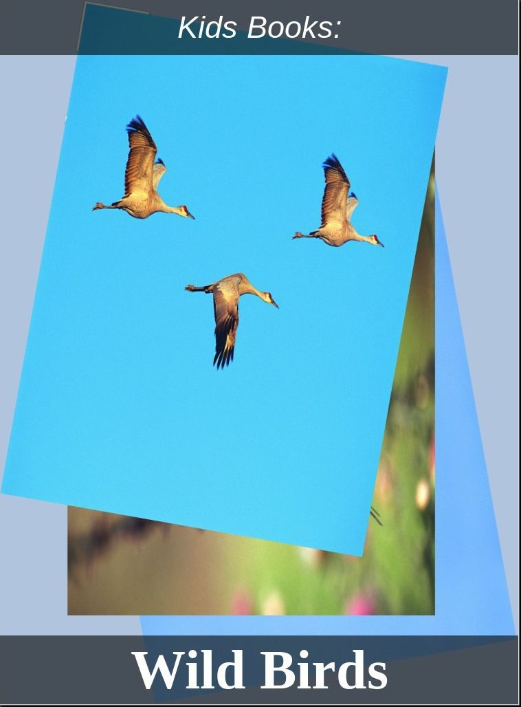 Kids Books: #166 ( Wildlife, Nature, Sea Life, Wild Birds, Corals, Tigers, Lions, Bears, Elephants, Fish, Sharks, Marine Life, Endangered, Conservation, Ecology, Substainable Living, Tree, Flower )