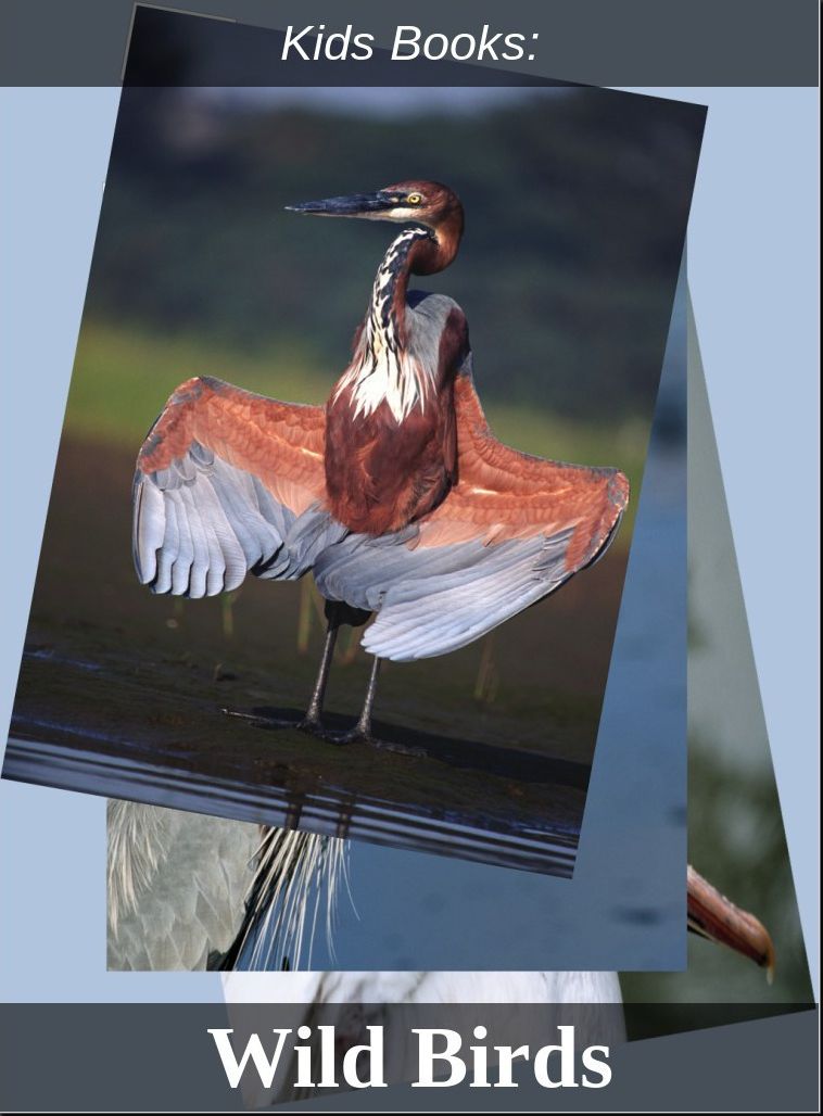 Kids Books: #165 ( Wildlife, Nature, Sea Life, Wild Birds, Corals, Tigers, Lions, Bears, Elephants, Fish, Sharks, Marine Life, Endangered, Conservation, Ecology, Substainable Living, Tree, Flower )