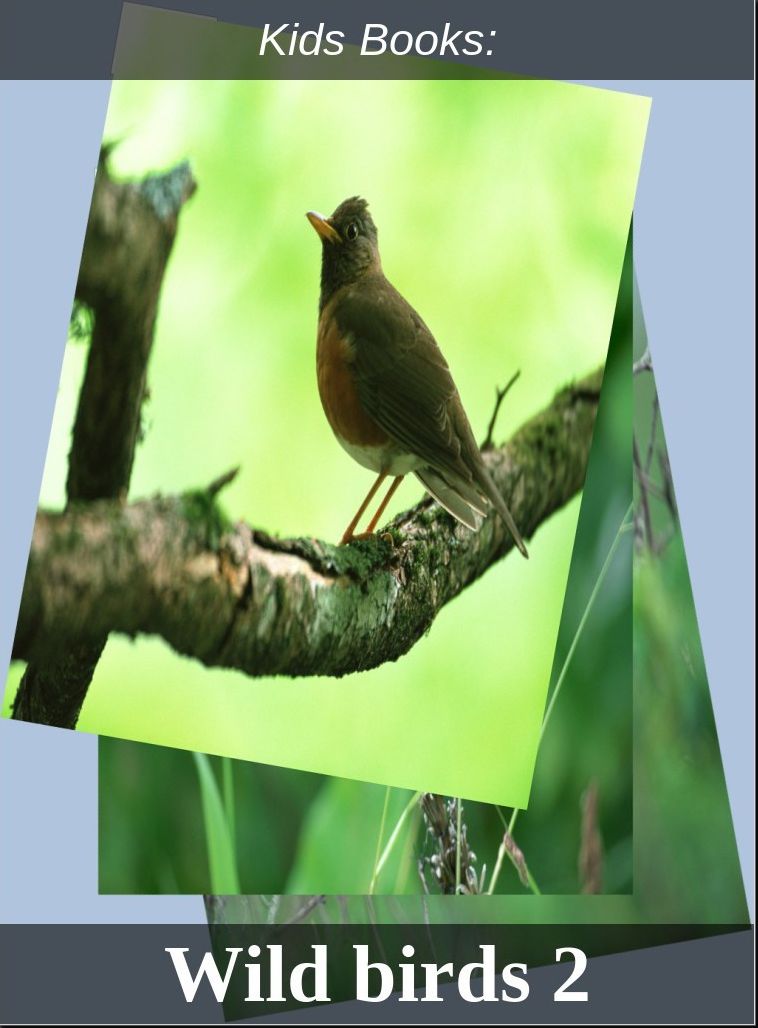 Kids Books: #226 ( Wildlife, Nature, Sea Life, Wild Birds, Corals, Tigers, Lions, Bears, Elephants, Fish, Sharks, Marine Life, Endangered, Conservation, Ecology, Substainable Living, Tree, Flower )