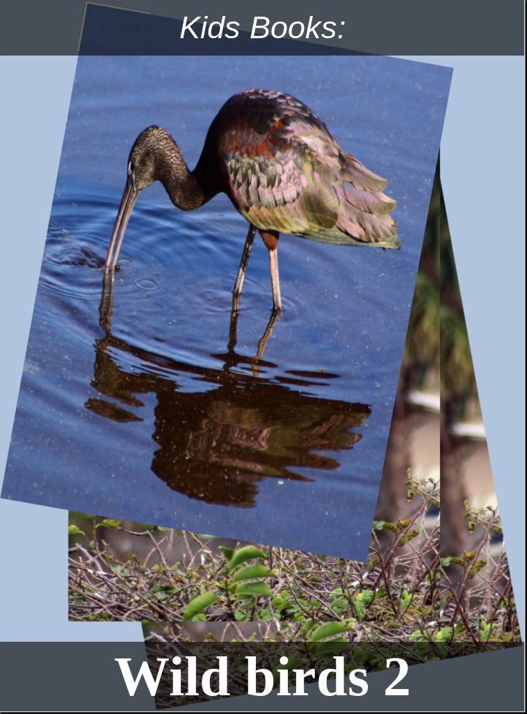 Kids Books: #224 ( Wildlife, Nature, Sea Life, Wild Birds, Corals, Tigers, Lions, Bears, Elephants, Fish, Sharks, Marine Life, Endangered, Conservation, Ecology, Substainable Living, Tree, Flower )