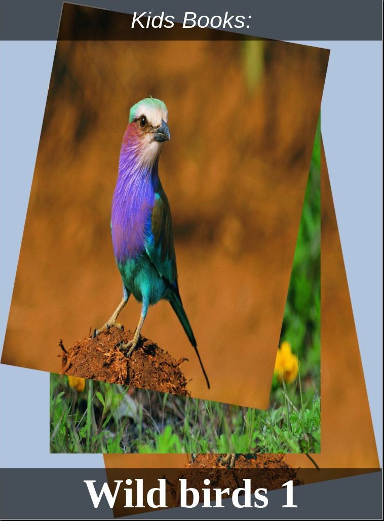 Kids Books: #214 ( Wildlife, Nature, Sea Life, Wild Birds, Corals, Tigers, Lions, Bears, Elephants, Fish, Sharks, Marine Life, Endangered, Conservation, Ecology, Substainable Living, Tree, Flower )
