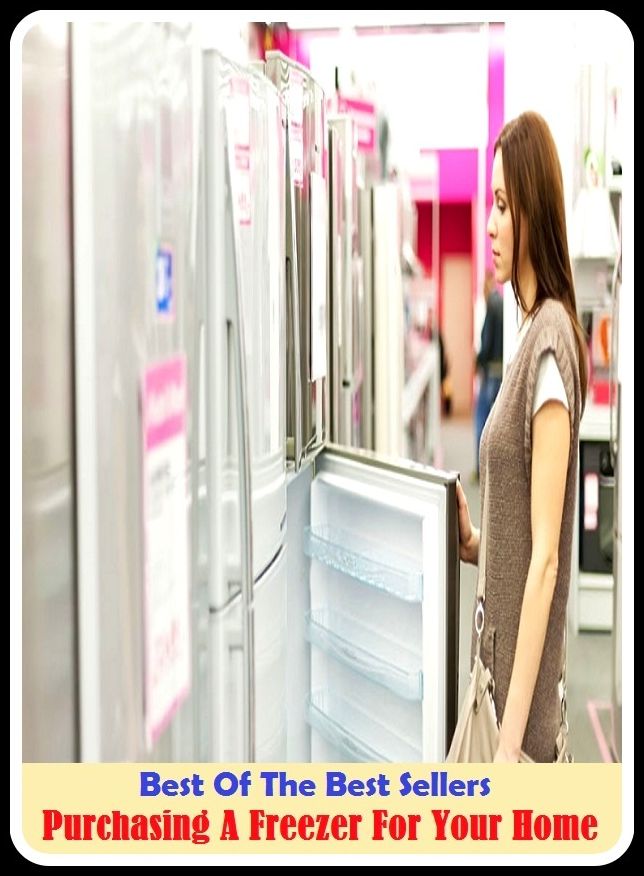 Best of the Best Sellers Purchasing A Freezer For Your Home (purchase price, purchase price variance, purchased, purchaser, purchasing, purchasing agent, purchasing department, purchasing office, purchasing platform, purchasing power)