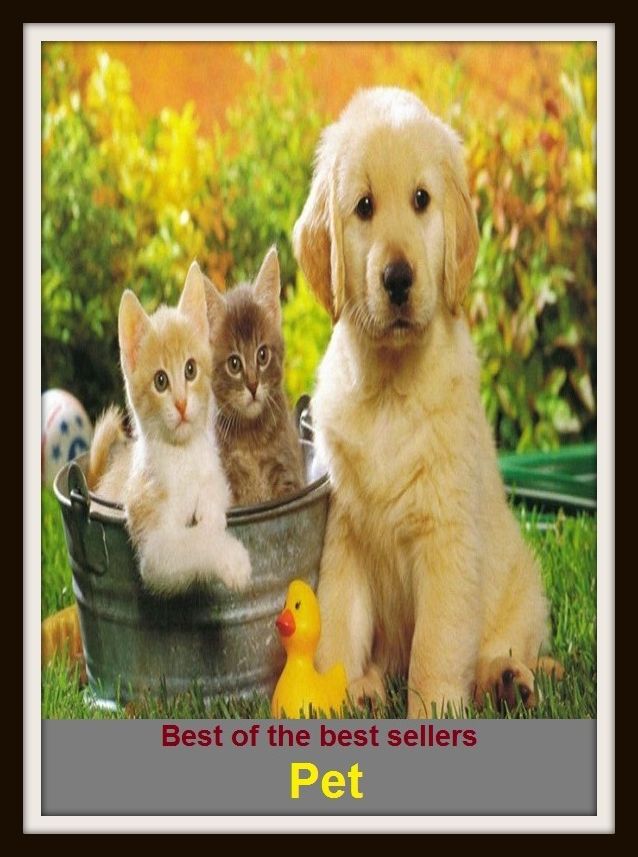 Best of the Best Sellers Pet (dear, favorite , annoyance, nagging, molestation, bother, chagrin, deary, minion)