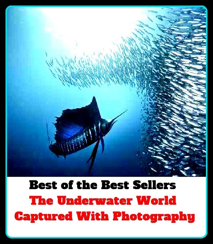 Best of the Best Sellers The Underwater World Capturedwith Photography (the turtles, the two of them, the tide, the undefeated, the underground, the unexpected, the unit, the universe, the university of Akron, the unnameable)