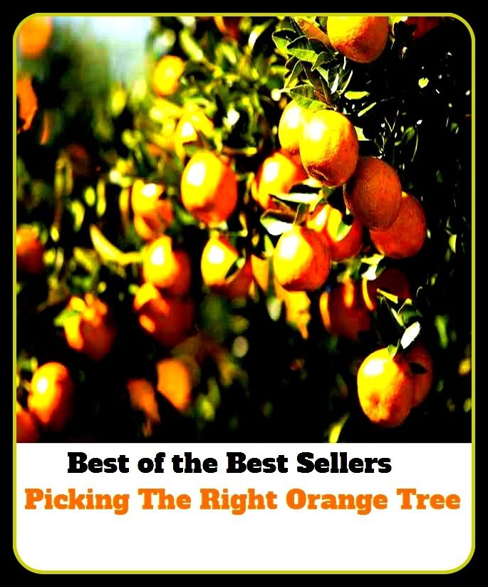 Best of The Best Sellers	Picking The Right Orange Tree (appropriate,good,honest,honorable,legal,legitimate,proper,suitable,true,deserved)