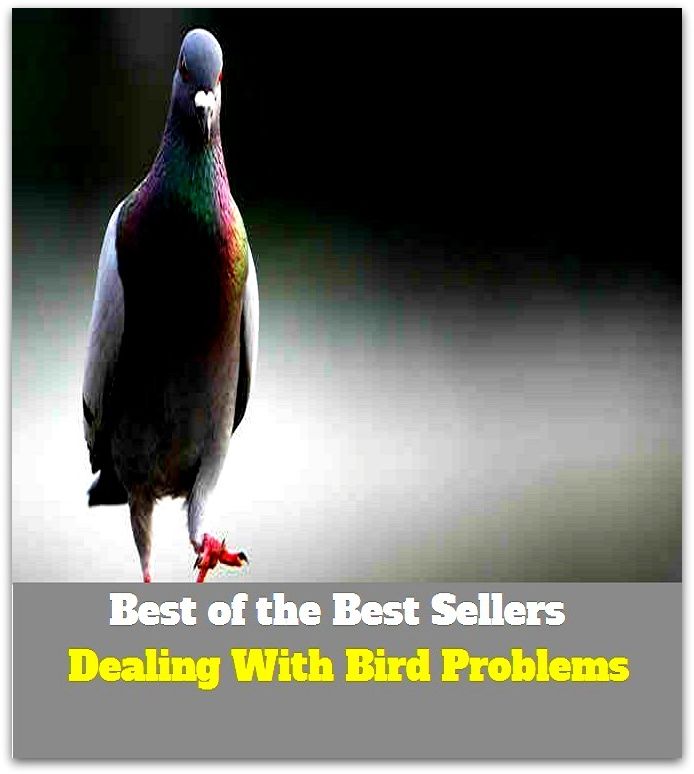 Best of The Best Sellers	Dealing With Bird Problems (complication, dilemma, dispute, headache, issue, obstacle, question, trouble, botheration, box)