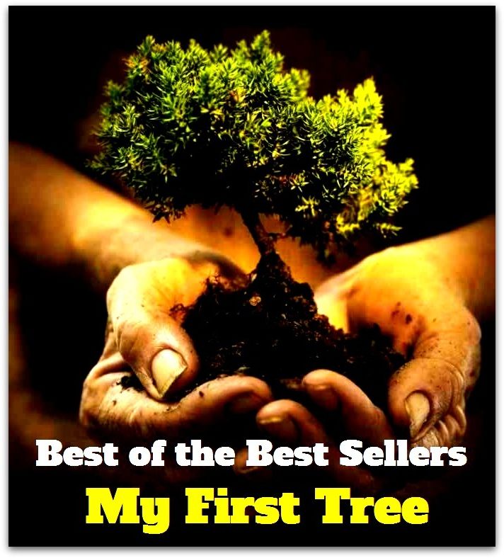 Best of The Best Sellers	My First Tree (early, aboriginal, antecedent, anterior, basic, beginning, cardinal, front, fundamental, head)